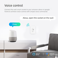 Prise murale intelligente WiFi Tuya, norme américaine, 2 prises, AC 240V, chargeur Type-C et USB, protection contre les surcharges, compatible avec Alexa/Google