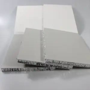 Nhà cung cấp Trung Quốc Trọng lượng nhẹ nhôm tổ ong lõi bánh sandwich Panel