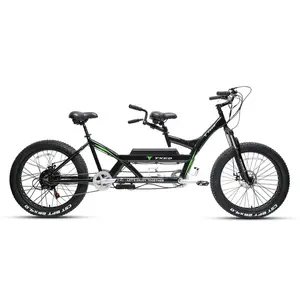 TXED 독특한 더블 라이딩 전기 자전거 500W 후방 허브 모터와 7 속도 ebike의 특별