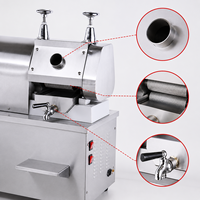 Machine à extraire le jus de canne à sucre automatique commerciale, en acier inoxydable, électrique, pour hôtels et restaurants