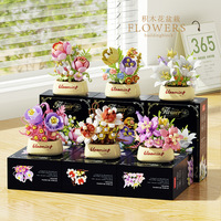 Boîte Mystère de Plantes Succulentes et Roses - Kit de Jardinière à Construire, Cadeau pour Femmes, Décoration de Bureau et Cadeau Surprise