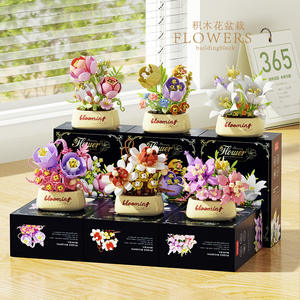 Boîte Mystère de Plantes Succulentes et Roses - Kit de Jardinière à Construire, Cadeau pour Femmes, Décoration de Bureau et Cadeau Surprise - Product Image 2