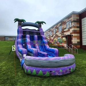 Toboggans adultes commerciaux sautant maison de rebond en plein air palmier <span class=keywords><strong>sec</strong></span> enfants piscines saut château gonflable toboggan gonflable pour <span class=keywords><strong>piscine</strong></span> - Product Image 2
