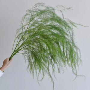 Frais <span class=keywords><strong>Lu</strong></span> <span class=keywords><strong>Xun</strong></span> herbe intérieur aménagement paysager mariage fleur Arrangement Thanksgiving noël nouvel an soie plastique naturel réel toucher - Product Image 5