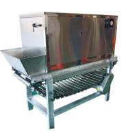 Nouvelle machine à éplucher l'ail Nfgp400, industrielle, efficace, à chaîne, verte, pour l'épluchage des oignons, de type commercial