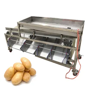 Factory Fruit and vegetable sorting machine Pomegranate Dates Sorting Machine Tomato Grinding Machine