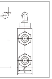VRDL -FL 双先导式止回阀 - Product Image 3