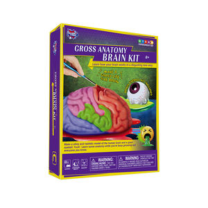 सकल शरीर रचना मस्तिष्क किट विच्छेदन विज्ञान प्रयोगों मानव विज्ञान किट लड़कों और लड़कियों के लिए - Product Image 2