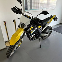 Vélo de course tout-terrain 2025 Storm Bee Original, moto électrique tout-terrain 12 vitesses, batterie lithium 55AH pour adultes au design Bomber