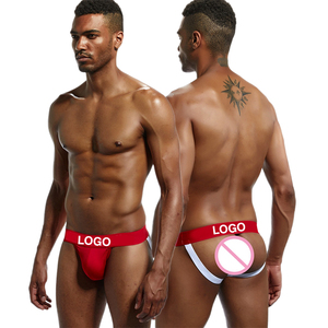 Sous-vêtements pour hommes en <span class=keywords><strong>coton</strong></span> biologique Boxershorts Low Rise <span class=keywords><strong>Tanga</strong></span> Mini Bikini Lingerie sexy Caleçons personnalisés - Product Image 2
