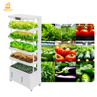 Système hydroponique intelligent gratuit pour la culture verticale de légumes à feuilles vertes en milieu commercial, à condition de commander 1 tonne d'engrais hydroponique.
