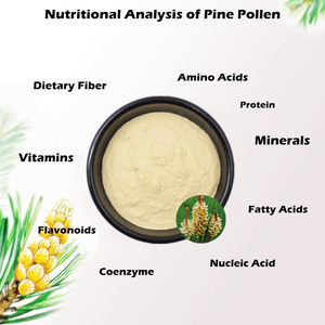 Venda quente Shell-quebrado Pinus Massoniana Pólen Em Pó Célula Orgânica Pinho Pólen Quebrado - Product Image 4