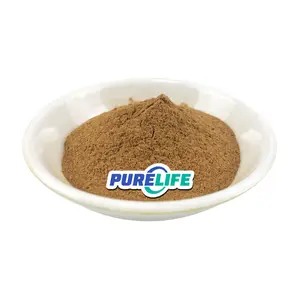Hot Selling Food Grade Pure Natural Dodder Seed Extract Powder