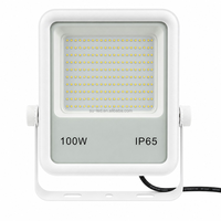 Projecteur LED blanc en aluminium 100 Watts pour extérieur avec certification
