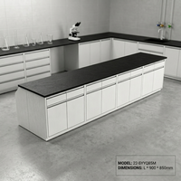 Table de laboratoire en acier robuste avec armoires de rangement, résistante aux produits chimiques, mobilier de laboratoire industriel