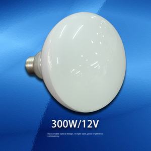 Accessoires pour éclairage de <span class=keywords><strong>piscine</strong></span> <span class=keywords><strong>Ampoule</strong></span> 300W/12V <span class=keywords><strong>Ampoule</strong></span> <span class=keywords><strong>halogène</strong></span> basse tension 12V <span class=keywords><strong>Ampoule</strong></span> 300W/12V - Product Image 3