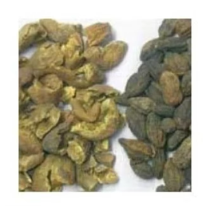 Baheda Chilka Bellirica Herbal Triple-tamizado Terminalia Bellirica Baheda OEM Semilla Baheda de alta calidad de la India - Product Image 6