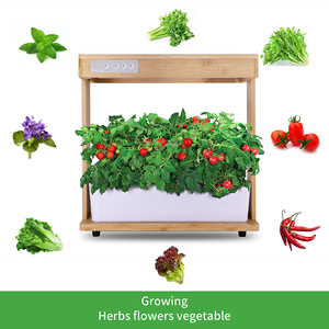 Équipement hydroponique intelligent en bambou, 40 w, système <span class=keywords><strong>de</strong></span> culture hydroponique, éclairage naturel pour jardin intelligent - Product Image 3
