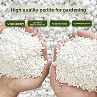 Substrat nutritif universel sans poussière Perlite pour la culture et l'expansion des orchidées succulentes, des semis et l'isolation en jardinage intensif