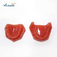 Modelo de mandíbula edéntula completa, modelo de hueso alveolar atrófico superior e inferior para entrenamiento de prótesis dentales completas, CE/ISO/ROHS/CNAS
