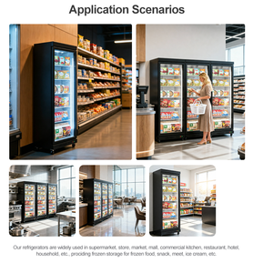 Vetrina Espositiva Verticale Monotemperatura Antiappannamento per Gelati e Alimenti Congelati da Supermercato - Product Image 5