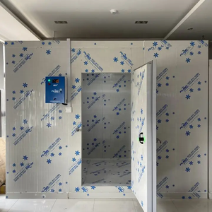 Lạnh lưu trữ phòng lạnh Tủ đông tùy chỉnh với giá rẻ chất lượng cao lạnh thịt hải sản - Product Image 4