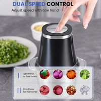 Penggiling Makanan 300W Model Terbaru dengan Wadah Kaca 2L untuk Penggiling Daging Peralatan Rumah Tangga