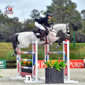 <strong>Aluminum</strong> <strong>Jump</strong> Stands Horse <strong>Show</strong> Jumping Wing - Product Image 6