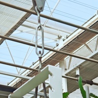Système hydroponique de serre le plus vendu en usine, économique et adapté à l'agriculture