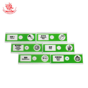 12 Plastic Biological <b>Microscope</b> Slides: Understanding Cells Under the <b>Microscope</b>, Vegetable Slides for Children's Science - Product Image 3