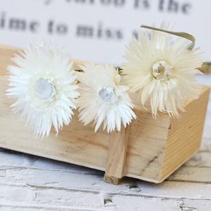 Yunnan fabrika kurutulmuş çiçekler kar lotus çiçekler beyaz açık pembe kar lotus gümüş kurutulmuş papatya çiçek - Product Image 3