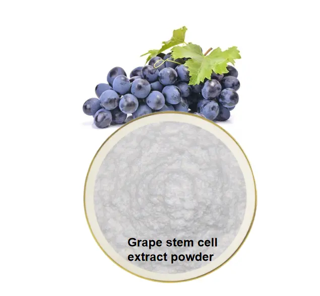 Bahan Perawatan Kulit Berkualitas Tinggi Bubuk Sel Induk Anggur Organik Alami