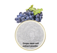 Poudre de cellules souches de raisin blanc naturel de qualité alimentaire supérieure avec ingrédients vitaminés pour les soins de la peau, en emballage bouteille/fût