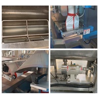 Volledig automatische VFFS rotorpomp vloeibare pasta zakverpakkingsmachine voor hoogviskeuze tomatensaus in plastic zakken