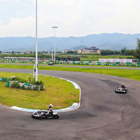 Fabricante Directo de Go Karts para Adultos de 200cc, 270cc y 390cc para Negocios de Alquiler