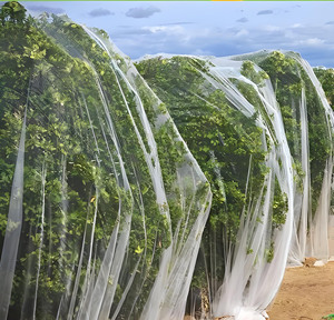ตาข่ายป้องกันแมลง HDPE 25/40/50ตาข่ายป้องกันแมลงในสวนผู้ผลิตแมลงป้องกันพืชผักเพื่อการเกษตร - Product Image 6