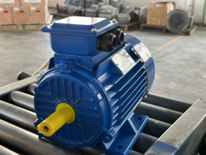 <span class=keywords><strong>Moteur</strong></span> d'induction marin triphasé <span class=keywords><strong>3KW</strong></span> 4HP 1450 tr/min à efficacité IE2, <span class=keywords><strong>220V</strong></span> AC, avec options de puissance nominale de 1KW et 15KW - Vente flash - Product Image 6