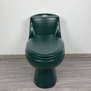 <span class=keywords><strong>Toilette</strong></span> siphonique monobloc à économie <span class=keywords><strong>d</strong></span>'<span class=keywords><strong>eau</strong></span> <span class=keywords><strong>vert</strong></span> foncé pour les maisons modernes et élégantes - Product Image 1