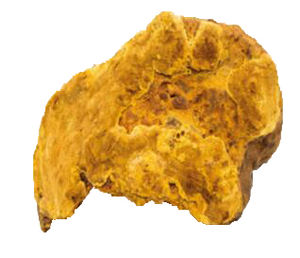 ผงสารสกัดจากเห็ดหวังหวังสารสกัดจาก Phellinus Linteus อาหารเสริมสุขภาพ - Product Image 2