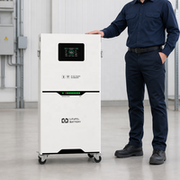 Batterie de stockage d'énergie solaire TIANON, écoénergétique, respectueuse de l'environnement, 51,2 V, 100 Ah, 300 Ah, LiFePO4, IP65, CAN, hors réseau, 16 kWh