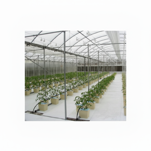 Kit de culture de tomates complet en seau hollandais hydroponique en PP de haute qualité en vente - Product Image 1