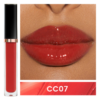 Brillant à lèvres 48 couleurs Maquillage des lèvres tendance Tubes de brillant à lèvres mignons avec emballage personnalisé Rouge à lèvres transparent rose nude