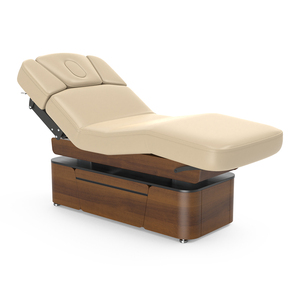 Table de massage électrique à double colonne Mt Lynn-Heaven confortable pour salon de beauté, avec fonctions réglables - Product Image 2
