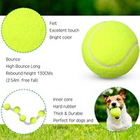 MOZKUIB Pelotas de Tenis de Mesa de Entrenamiento a Granel, 48 Piezas, 2,5 Pulgadas, Presión Estándar para Jugadores Jóvenes Principiantes y Práctica de Pelotas Deportivas