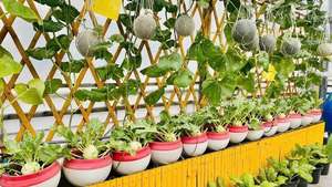 Panier suspendu rond en plastique PP, couleurs rouge, blanc, vert, avec 3 chaînes de suspension, grande taille, vente en gros - Product Image 6