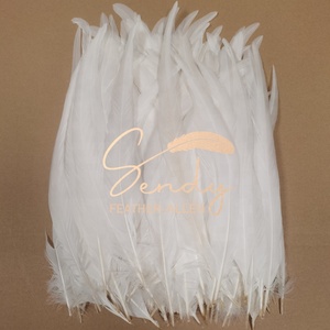 Plumas de gallo súper blancas al por mayor de 12-14 pulgadas para atado de moscas, tocados, carnaval, mochilas y decoraciones - Product Image 3