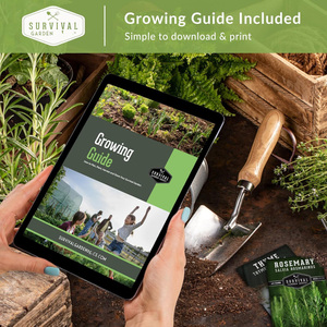 Farmer Vault 100 Pack Variétés <span class=keywords><strong>de</strong></span> légumes non génétiquement modifiées Planter des fleurs Fruits Herbes pour Victory Garden Pots <span class=keywords><strong>de</strong></span> fleurs Jardinières - Product Image 6