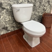 Ada Modern Mini Ensemble de toilettes en céramique allongée en forme de S Articles sanitaires de salle de bain standard avec structure en deux pièces Drainage en S