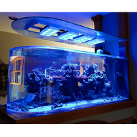 Aquarium mural avec panneau acrylique, plateforme en acrylique, coin à personnaliser professionnel, livraison gratuite en chine