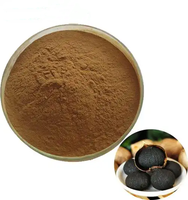 Extrait d'ail noir naturel Chine Ail noir 3% Poudre d'ail noir